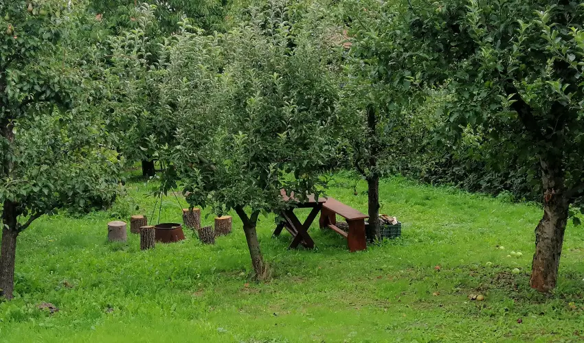 Zempl�ni T�nd�rkert Vend�gh�z F�z�rkoml�s - P�nk�sd (min. 2 �j)