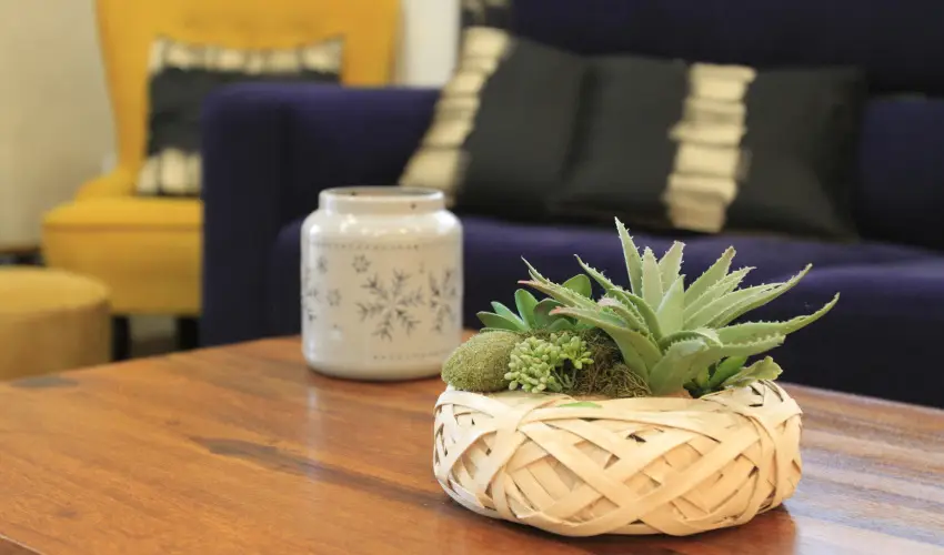 Zenit Panzi Miskolctapolca - Pnksd 