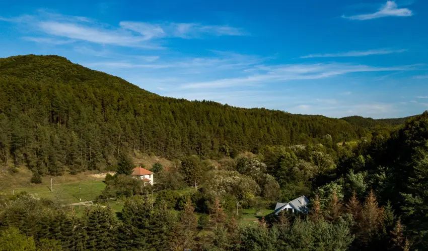 Zldsziget Menedk Rendezvny s Pihenhz Brna - Pnksd