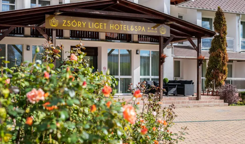 Zsry Liget Hotel & Spa Mezkvesd - Pnksd