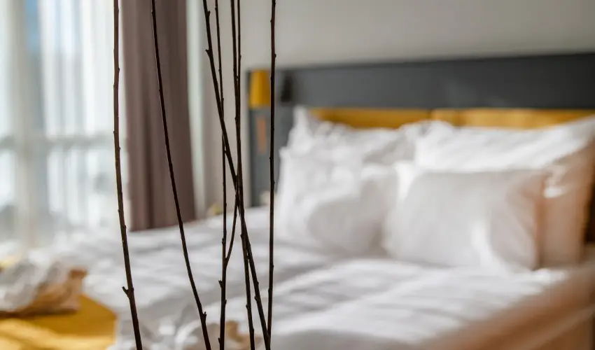 Zsry Liget Hotel & Spa Mezkvesd - Pnksd