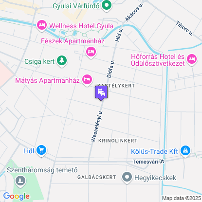 Geszteny�s Vend�gh�z a t�rk�pen