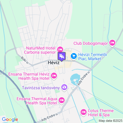 Palace Hotel  a trkpen